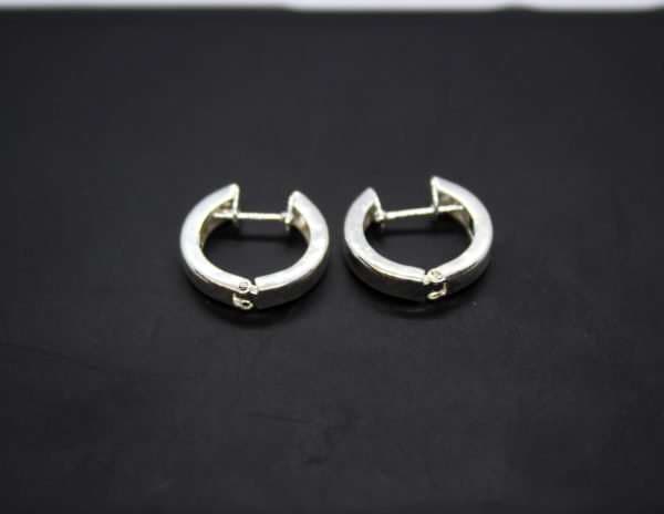 Small Hoop Earring